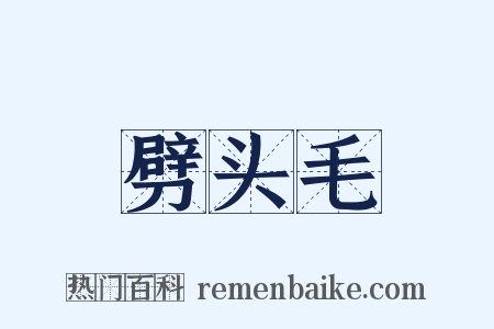 劈头毛是什么意思的图片